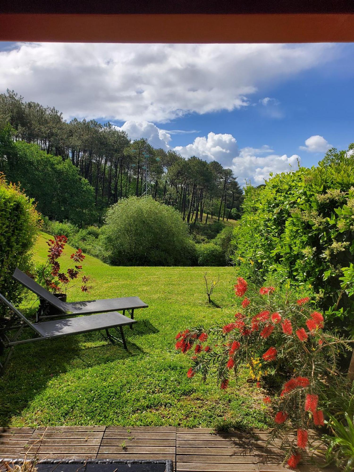 Appartement Calme Avec Jardin Bidart Biarritz Dış mekan fotoğraf